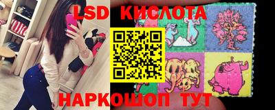 прущие крисы Малгобек