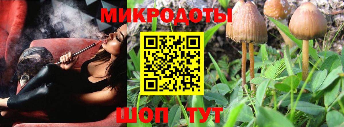 Унеча  Псилоцибиновые грибы Cubensis  Псилоцибиновые грибы Psilocybe  Вход с VPN 